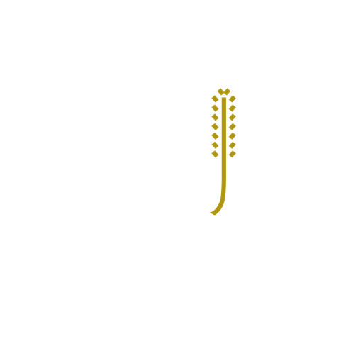 รีรีข้าวสาร