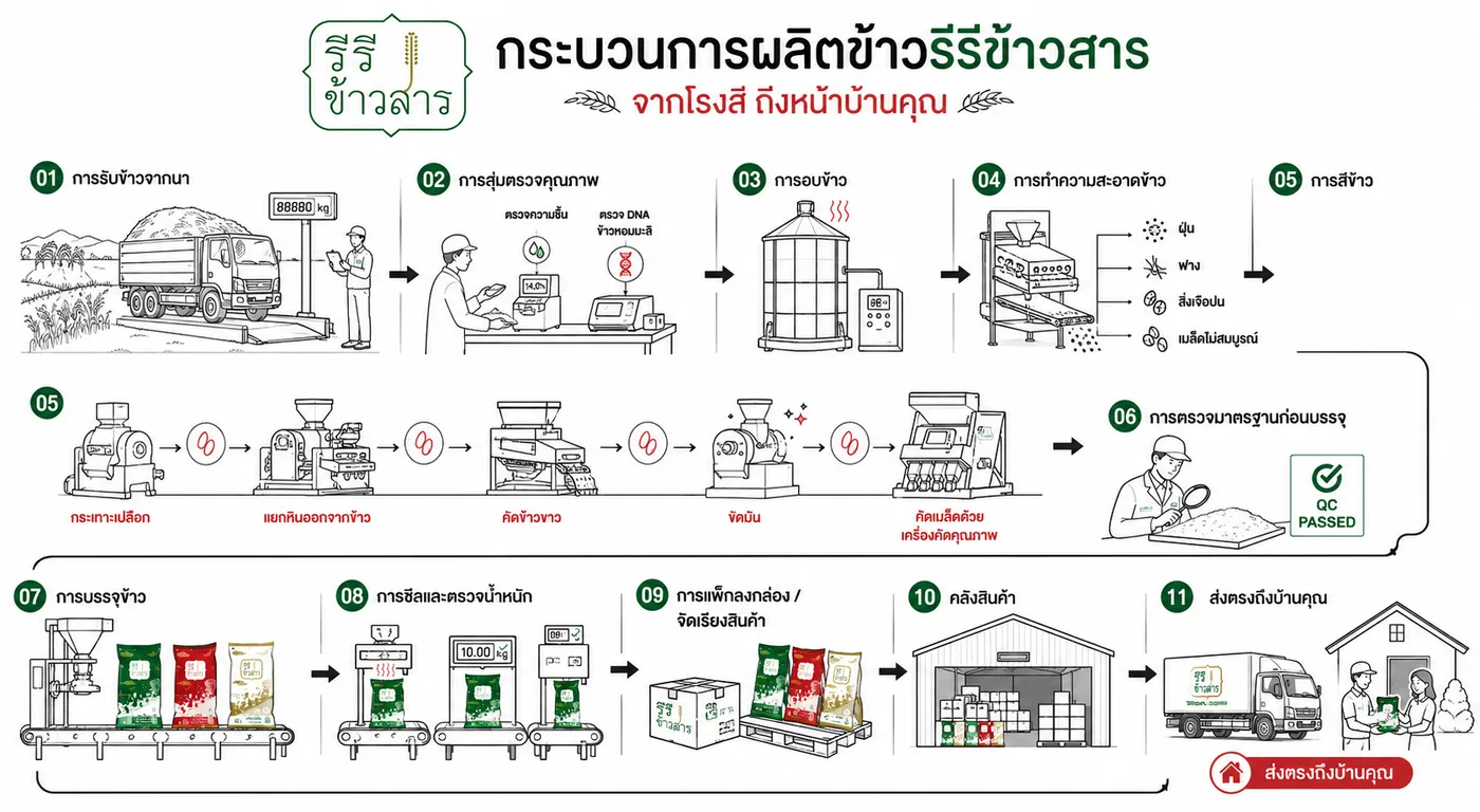 กระบวนการผลิตข้าวรีรีข้าวสาร — จากโรงสีถึงหน้าบ้านคุณ